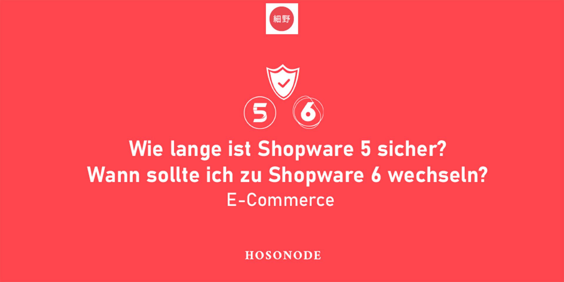 Wie lange ist Shopware 5 sicher? Wann sollte ich zu Shopware 6 wechseln?